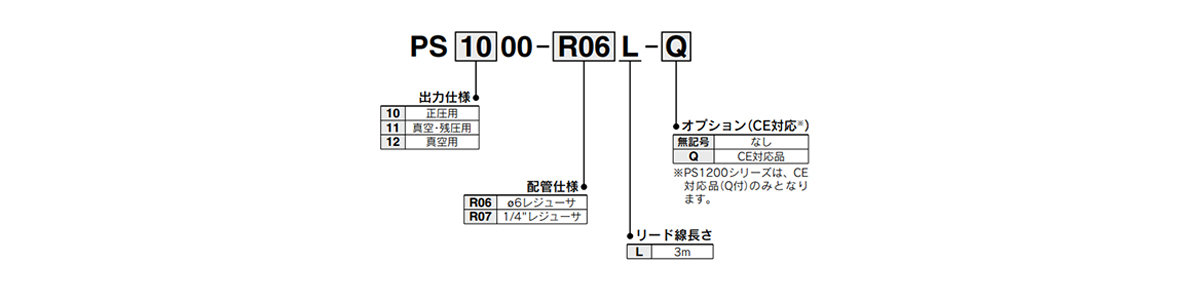 Model number example