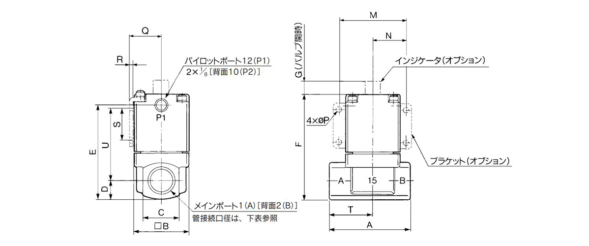 Piping connection port diameter: 10A, 15A, 20A, 25A dimensions and diagram