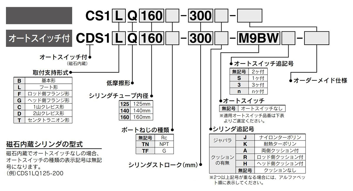 Model Number Notation