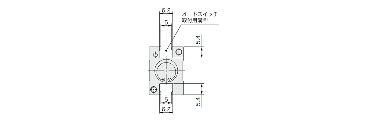 Dimensions: auto switch mounting groove