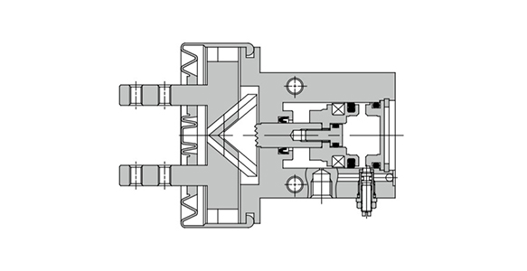 Fingers closed structure drawing