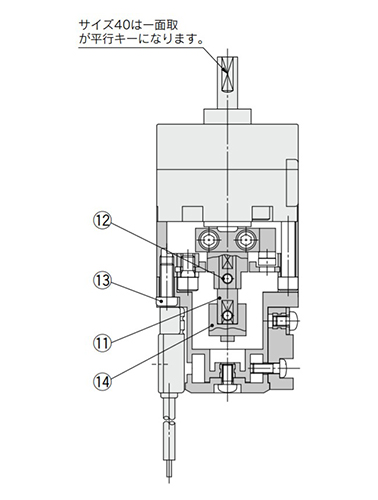 Size 20, 30, 40 structure drawing