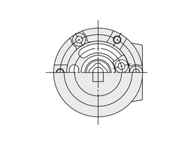 Double vane structure drawing