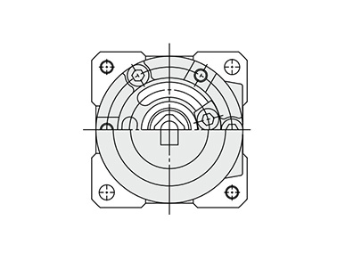 Double vane structure drawing