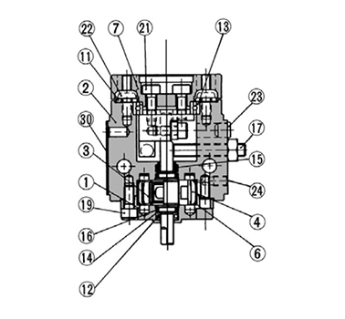 Double vane; size 3, 7, 20 structure drawing