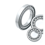 Cylindrical Roller Bearing (Radial)